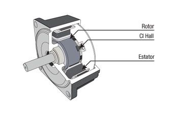 Brushless motors 